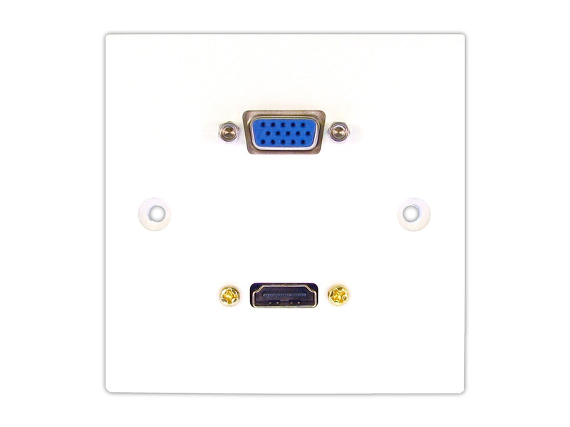 HDMI and VGA Wall Plate