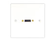 HDMI wall plate