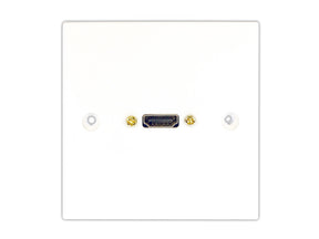 HDMI wall plate
